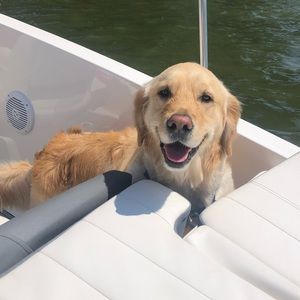 Meet your Posher, Marcie